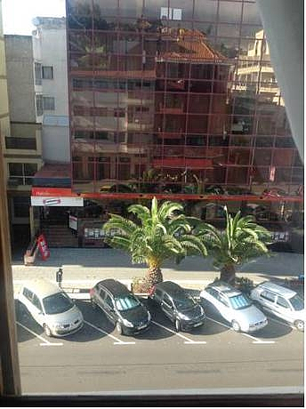 Avenida