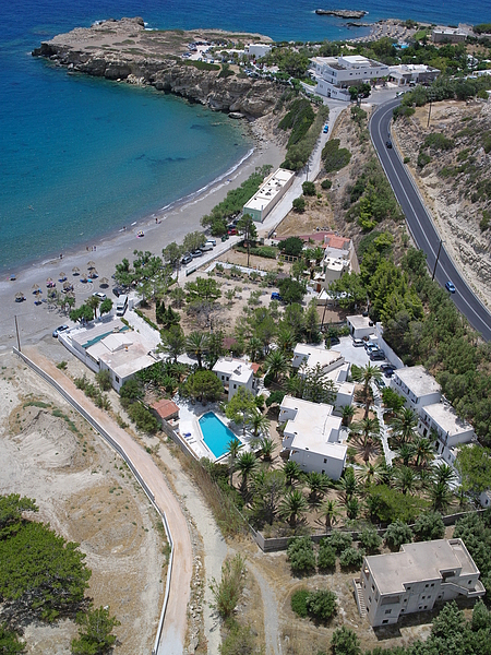 Avra Palm