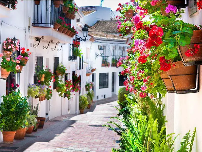 PASTE 2024 IN ANDALUZIA - COSTA DEL SOL!