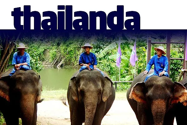 THAILANDA RELAXARE IN TARA ORHIDEELOR