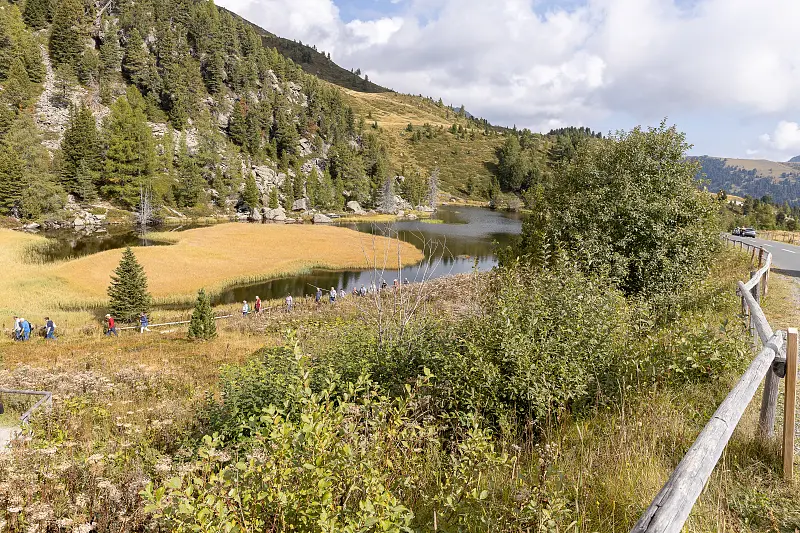 Das Feriendorf am Maltschacher See
